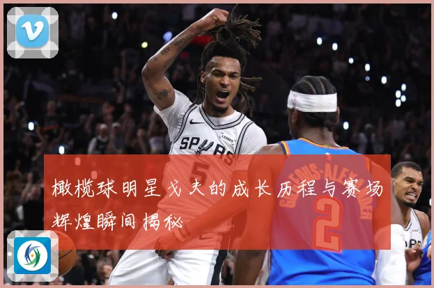 橄榄球明星戈夫的成长历程与赛场辉煌瞬间揭秘