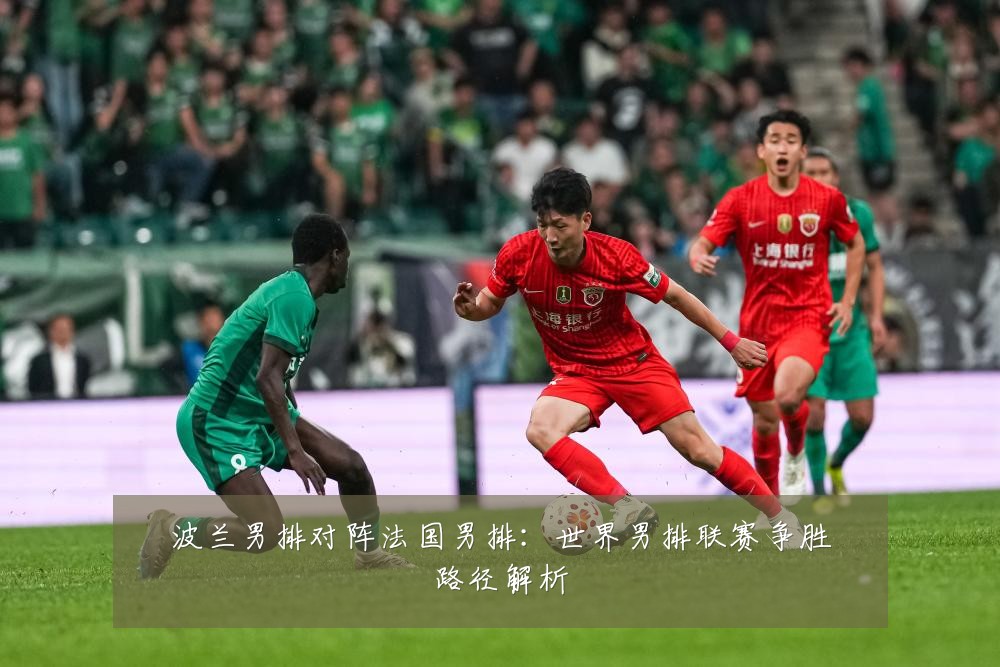 波兰男排对阵法国男排:世界男排联赛争胜路径解析