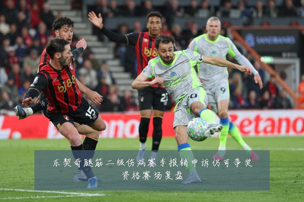 东契奇腿筋二级伤病赛季报销申诉仍可争奖资格赛场复盘